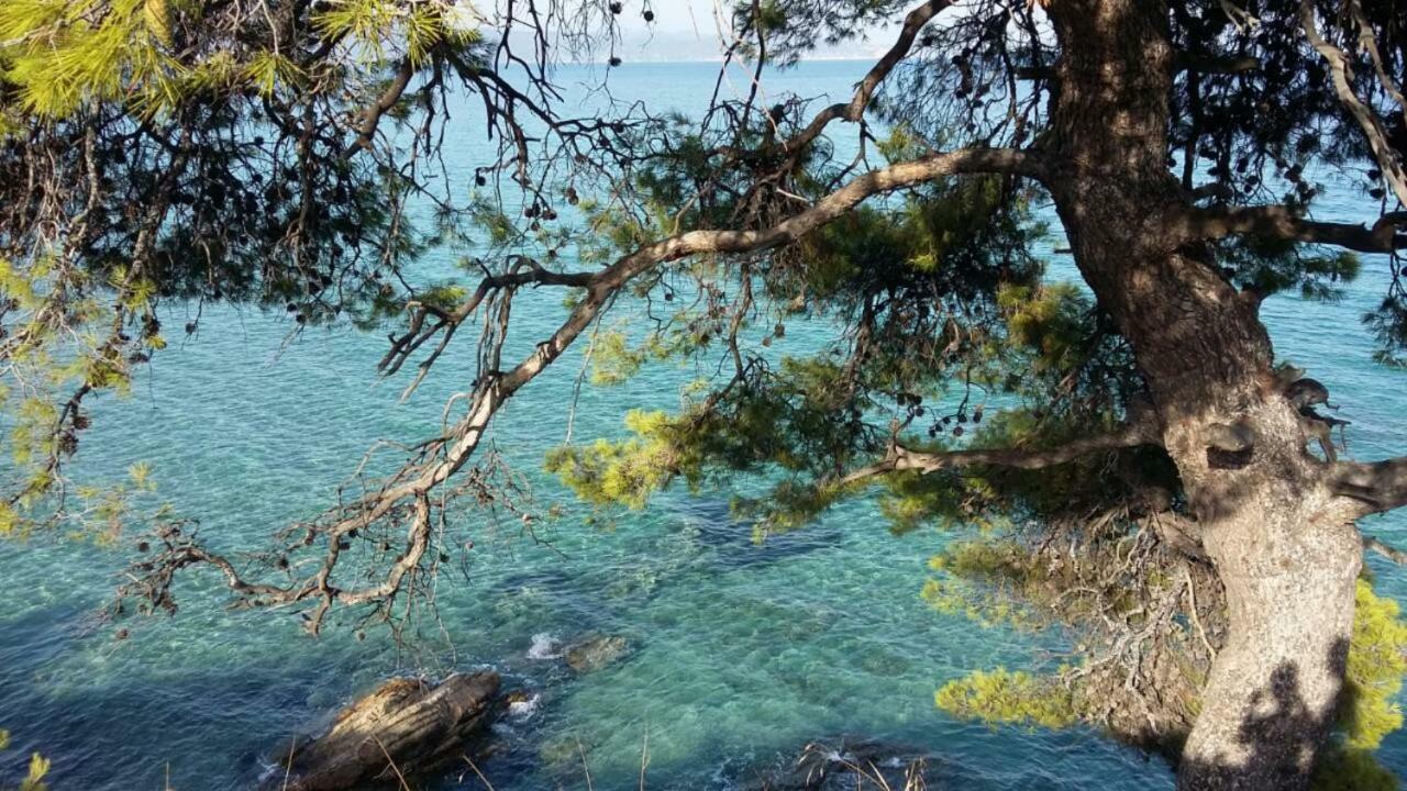 Lia'S Beach House アギオス・ニコラオス エクステリア 写真